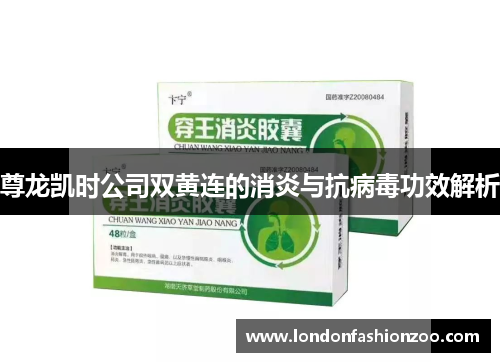 尊龙凯时公司双黄连的消炎与抗病毒功效解析