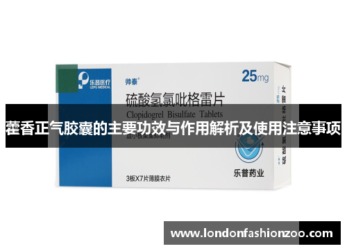 藿香正气胶囊的主要功效与作用解析及使用注意事项