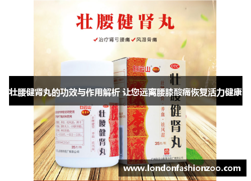 壮腰健肾丸的功效与作用解析 让您远离腰膝酸痛恢复活力健康